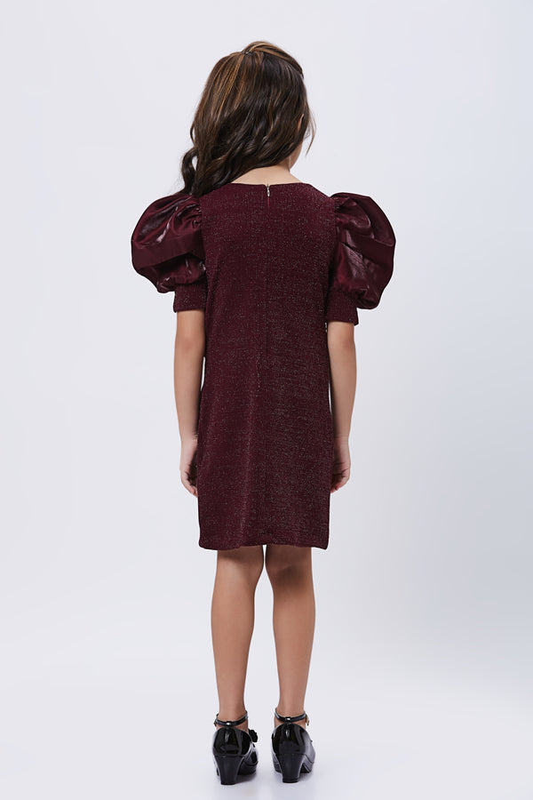 Girls Zari Dress 16572