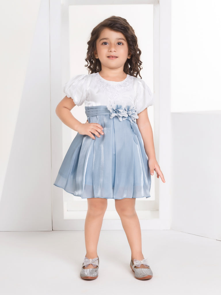 Girls Trendy Dress 17278