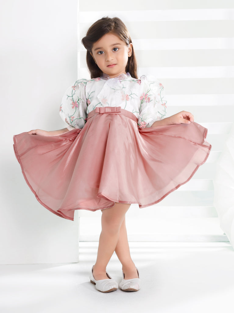 Girls Embroidered Dress 17319