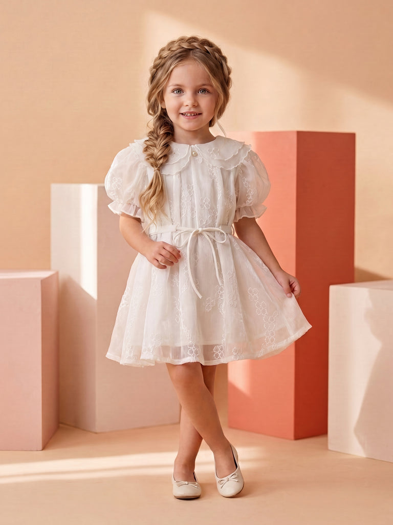 Girls Embroidered Dress 19722