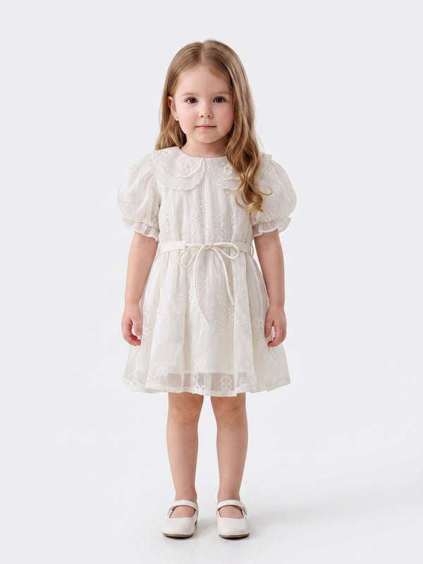 Girls Embroidered Dress 19722