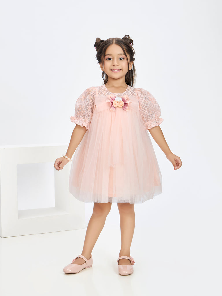 Girls Design Net Dress 19854