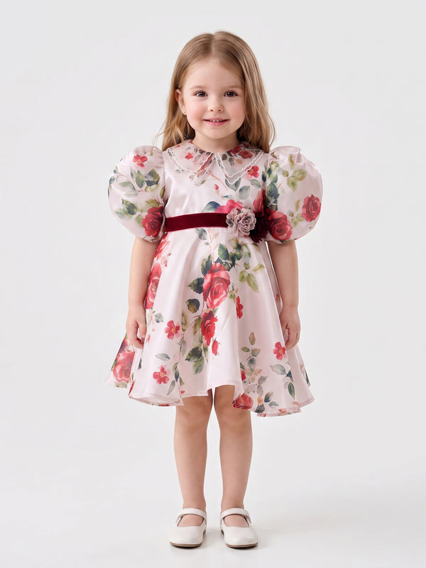 Girls Printed Dress 21641