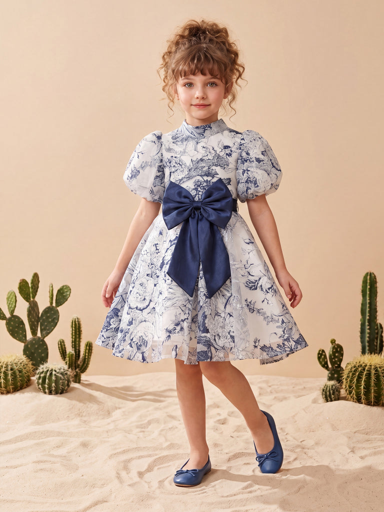 Girls Printed Dress 21746