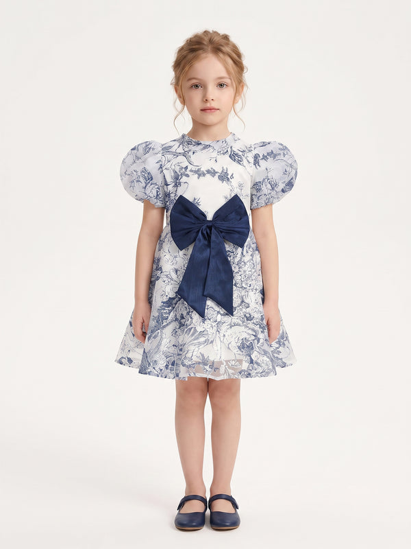 Girls Printed Dress 21746