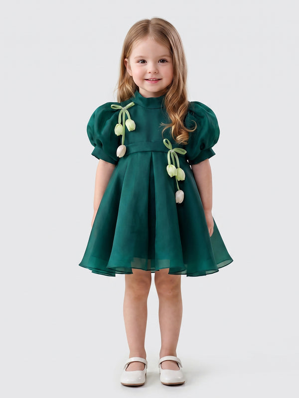 Girls Fashion Dress 22072