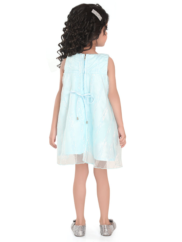 Girls Design Net Dress 17931