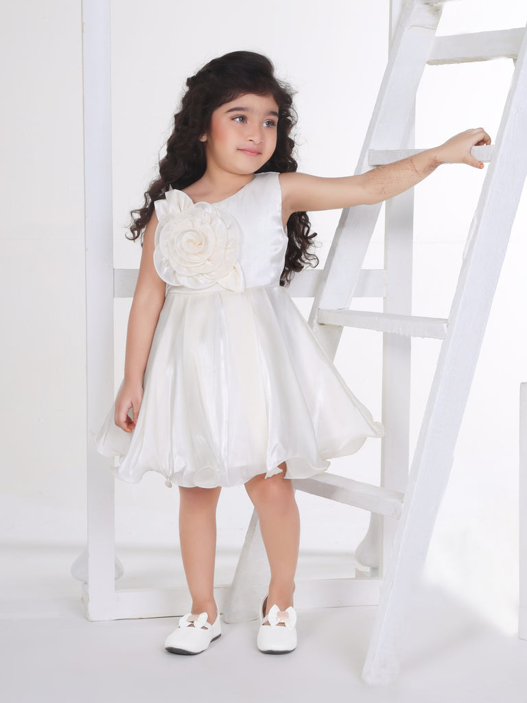 Girls Elegant Dress 16790