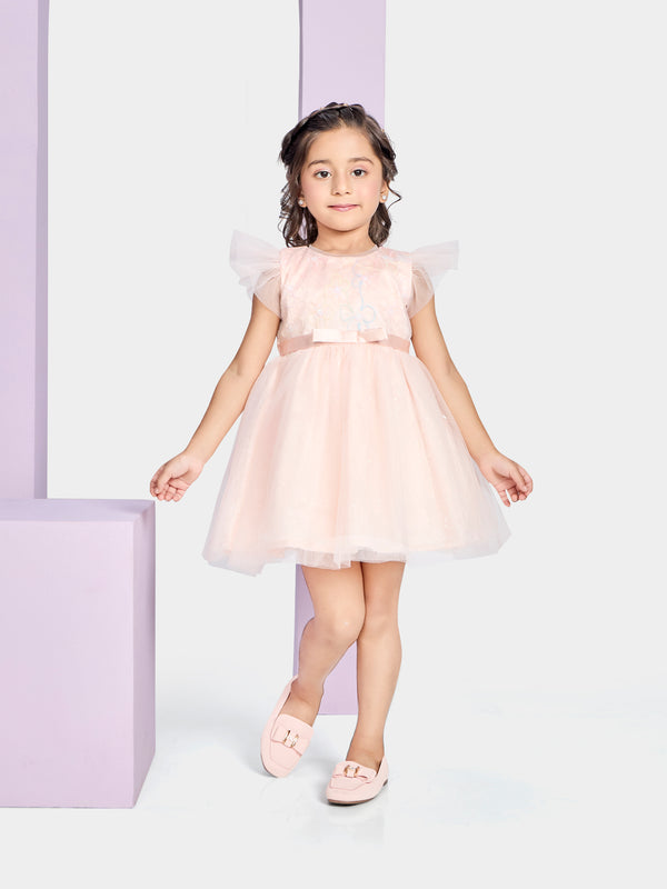 Girls Design Net Dress 20352