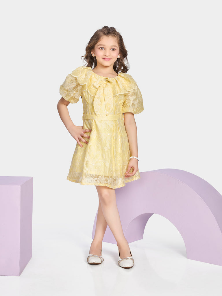 Girls Embroidered Dress with Belt 20419