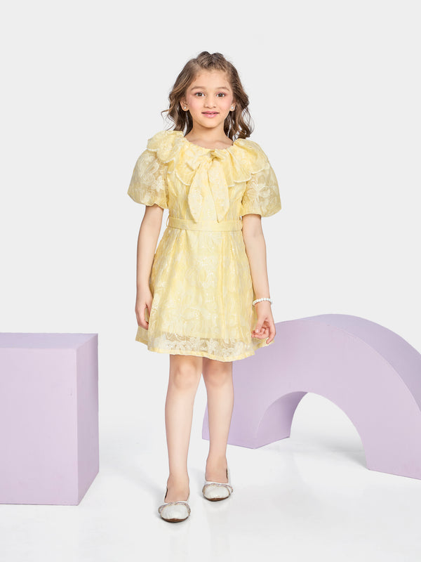 Girls Embroidered Dress with Belt 20419