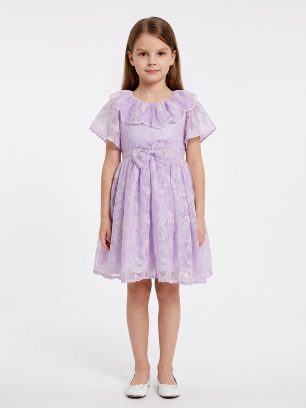 Girls Embroidered Dress 21220