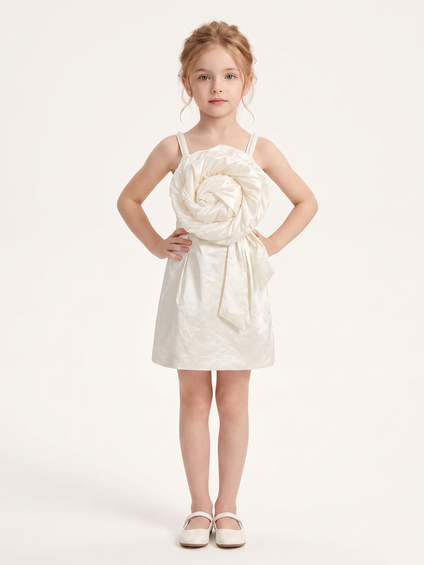 Girls Fashion Dress 22024